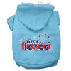 Little Firecracker Screen Print Pet Hoodies