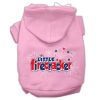 Little Firecracker Screen Print Pet Hoodies