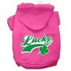 Lucky Swoosh Screen Print Pet Hoodies