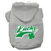 Lucky Swoosh Screen Print Pet Hoodies