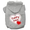 Puppy Love Screen Print Pet Hoodies