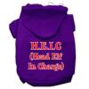 Head Elf In Charge Screen Print Pet Hoodies