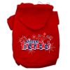 Little Firecracker Screen Print Pet Hoodies